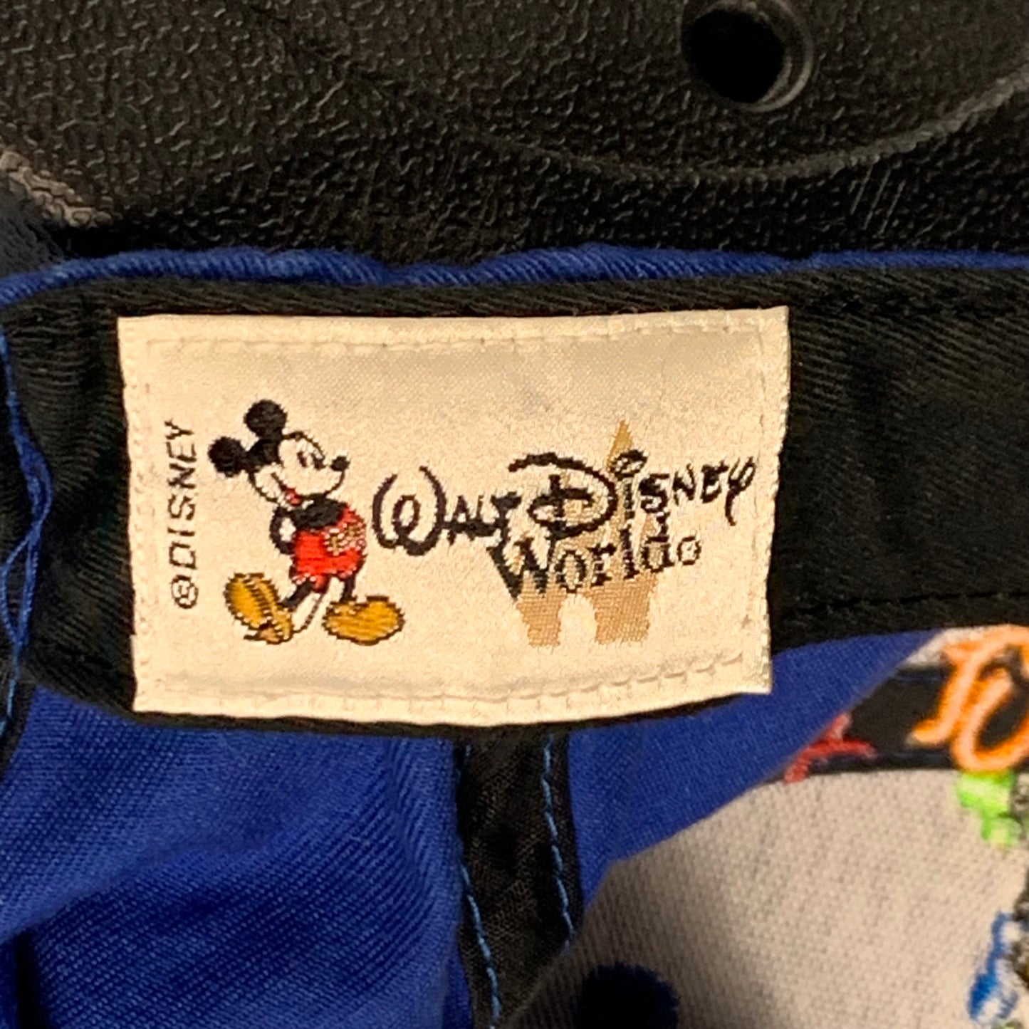 90s VTG Walt Disney World snap back - size OS