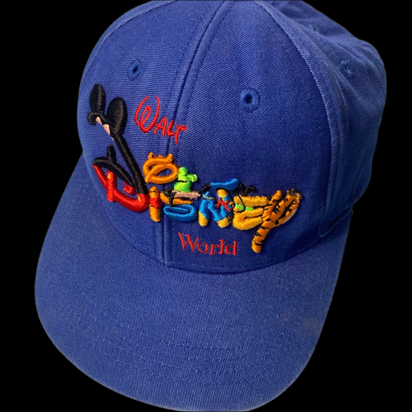 90s VTG Walt Disney World snap back - size OS