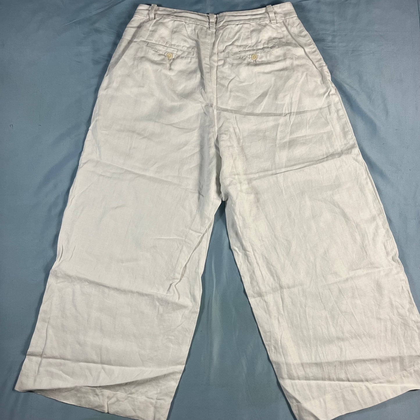 preloved Madewell pleated wide-leg linen pants - L/XL