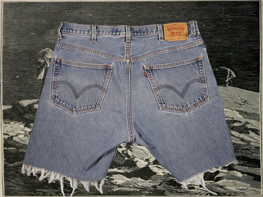 reworked Levi's 505 jorts - size 38